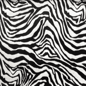 10 Zebra
