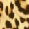 4281 Leopard